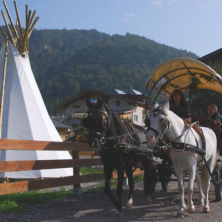 Reitanlage Dagnhof Apartman Walchsee Kültér fotó
