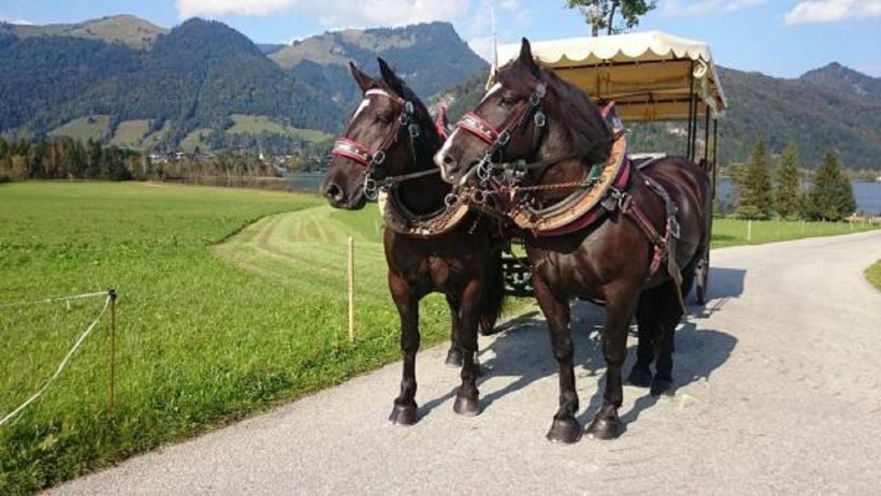 Reitanlage Dagnhof Apartman Walchsee Kültér fotó